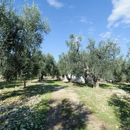 Punta Grugno Villa Mattinata